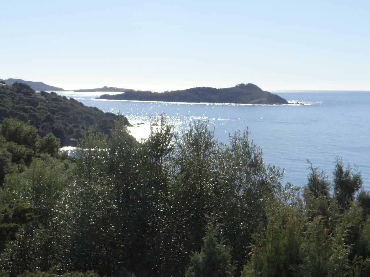 Appartement Vue Mer, Presqu'Il De Giens Hyeres Luaran gambar